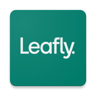 Leafly Holdings Inc