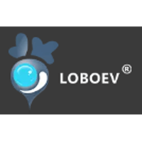 LOBO EV Technologies Ltd
