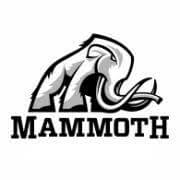 Mammoth Energy Services Inc
